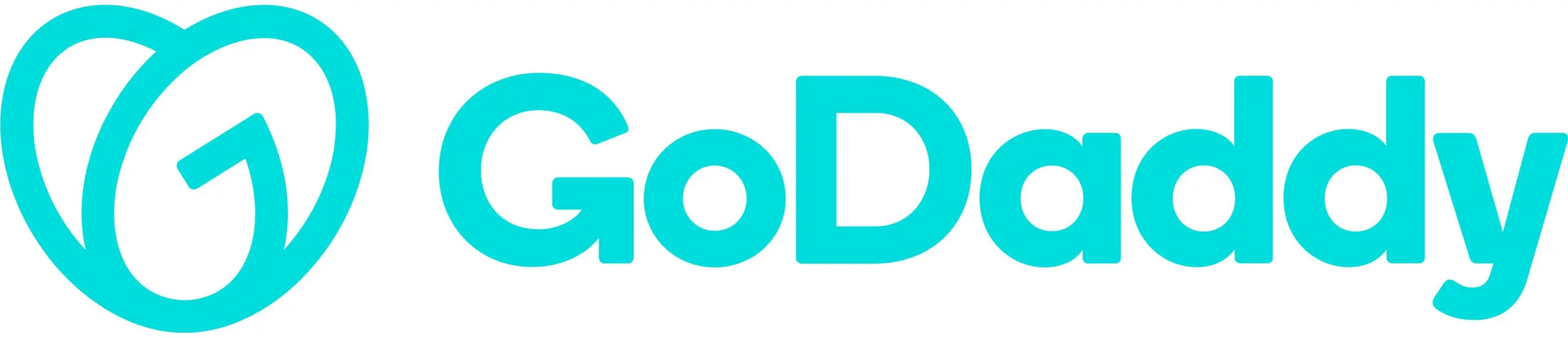 GoDaddy logo representing web hosting and domain registration platform