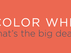 The Color Wheel – What’s the Big Deal?