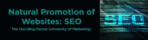 Natural Promotion of Websites: SEO